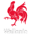 Wallonie - Service Social des Services du Gouvernement Wallon